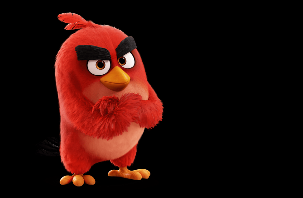 Angry Bird